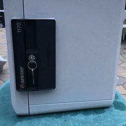 Sentry1170 Document Safe