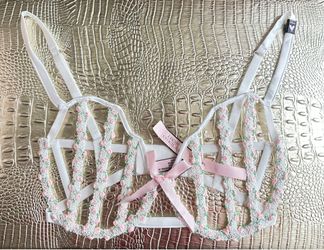 New Victorias Secret 34DD Bra Dream Angels Garden Caged Rose Balconette NWT