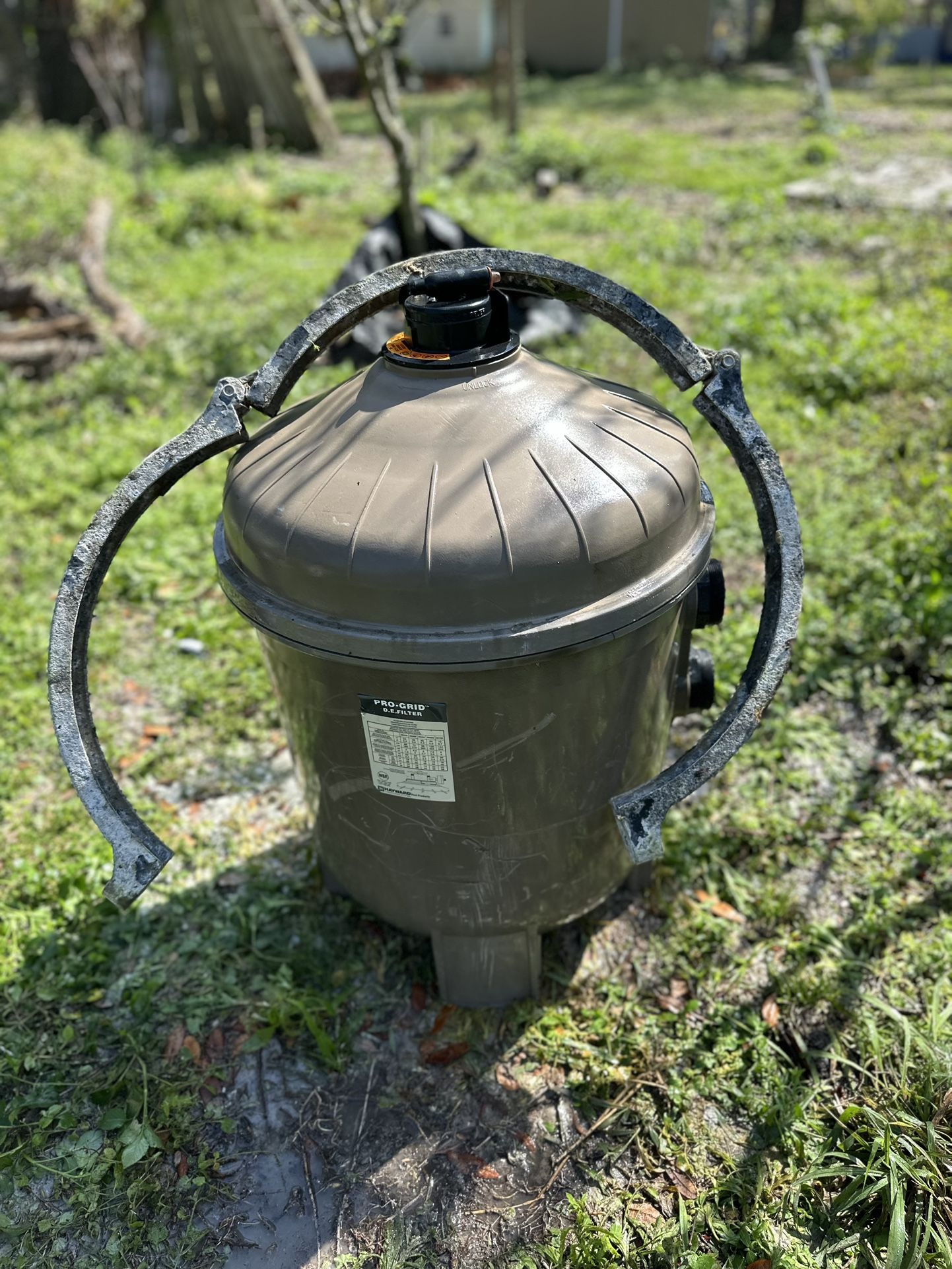 Hayward DE Pool Filter