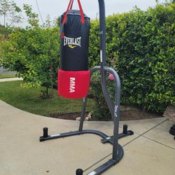 Everlast Punching Bag And Stand