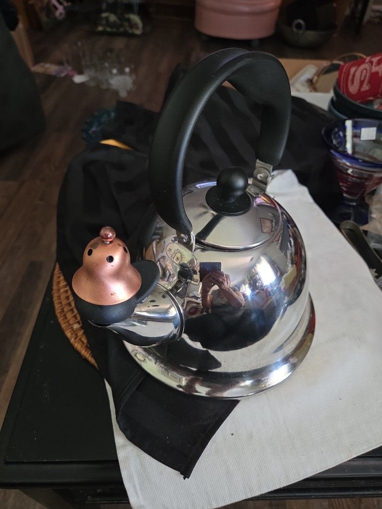 Michael Graves Design Stainless Steel Tea Kettle with Copper Bell & Whistles