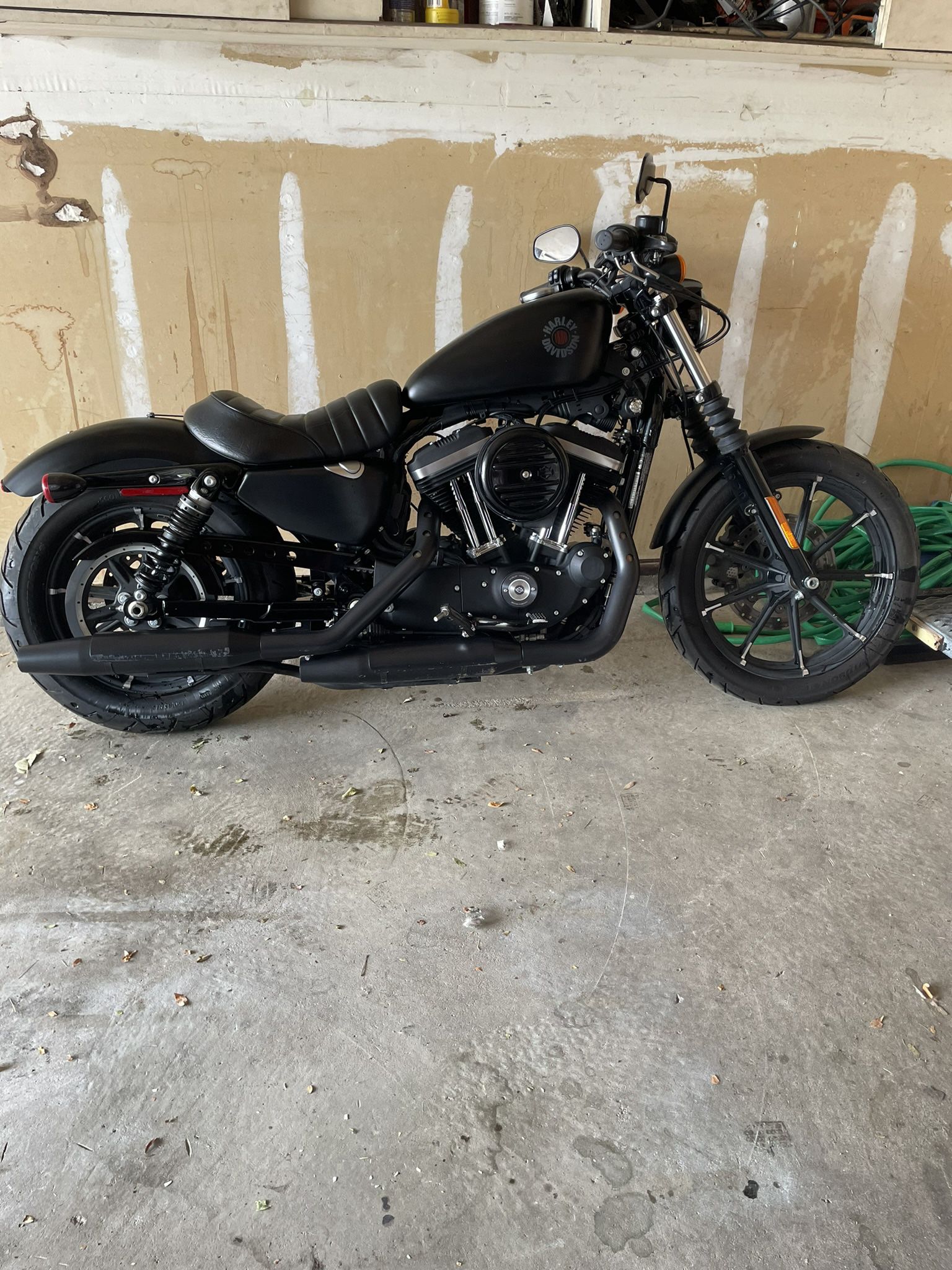2020 Harley Davidson 883XL