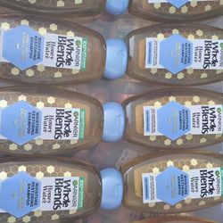GARNIER WHOLE BLENDS SHAMPOO AND CONDITIONER