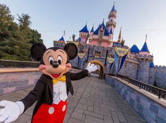 Disney (If post is up, still available )