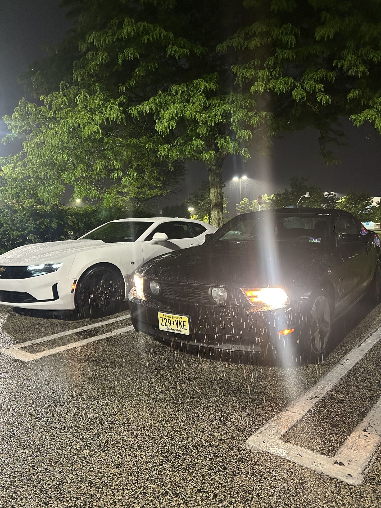 2010 Ford Mustang