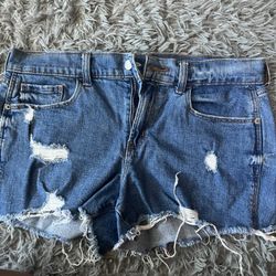 Old Nacy Shorts 