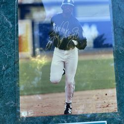 Autographed Ken Griffey Jr Picture 
