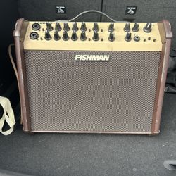 Fishman Amp Speaker