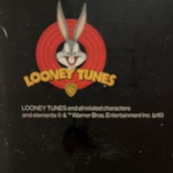 Retro Jordan 11 Space Jam