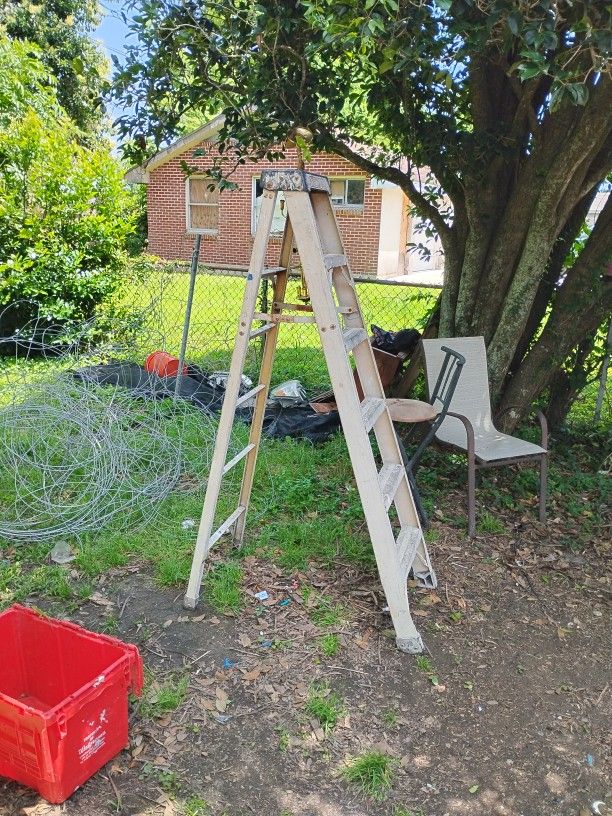 8ft Greenbull Ladder