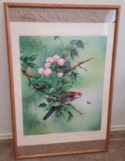 ART PRINT (WATCH VIDEO) STUNNING MAX KARP SIGNED PARROT REPRODUCTION FRAMED 24"X38"