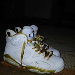 Jordan's 6s