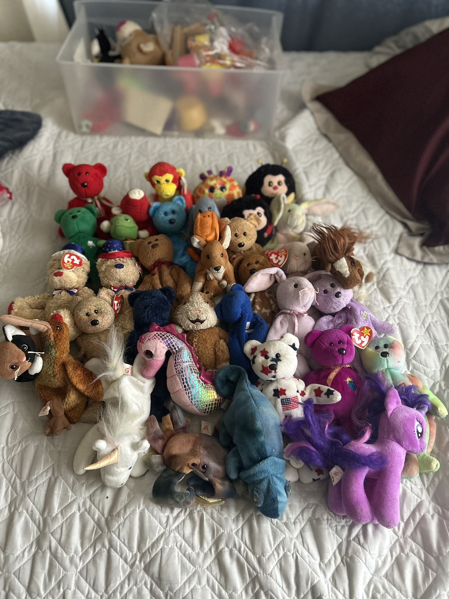Beanie Babys