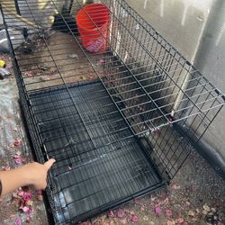 Dog Cages 