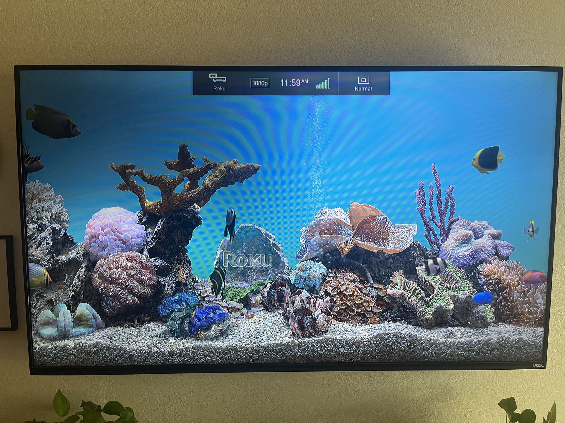 65” Vizio Smart TV