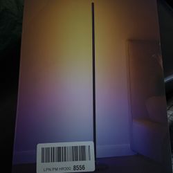 Govee Floor Basic Lamp 
