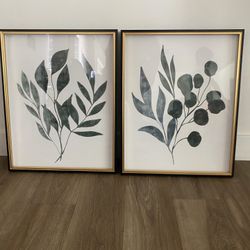 Eucalyptus Picture Frames 