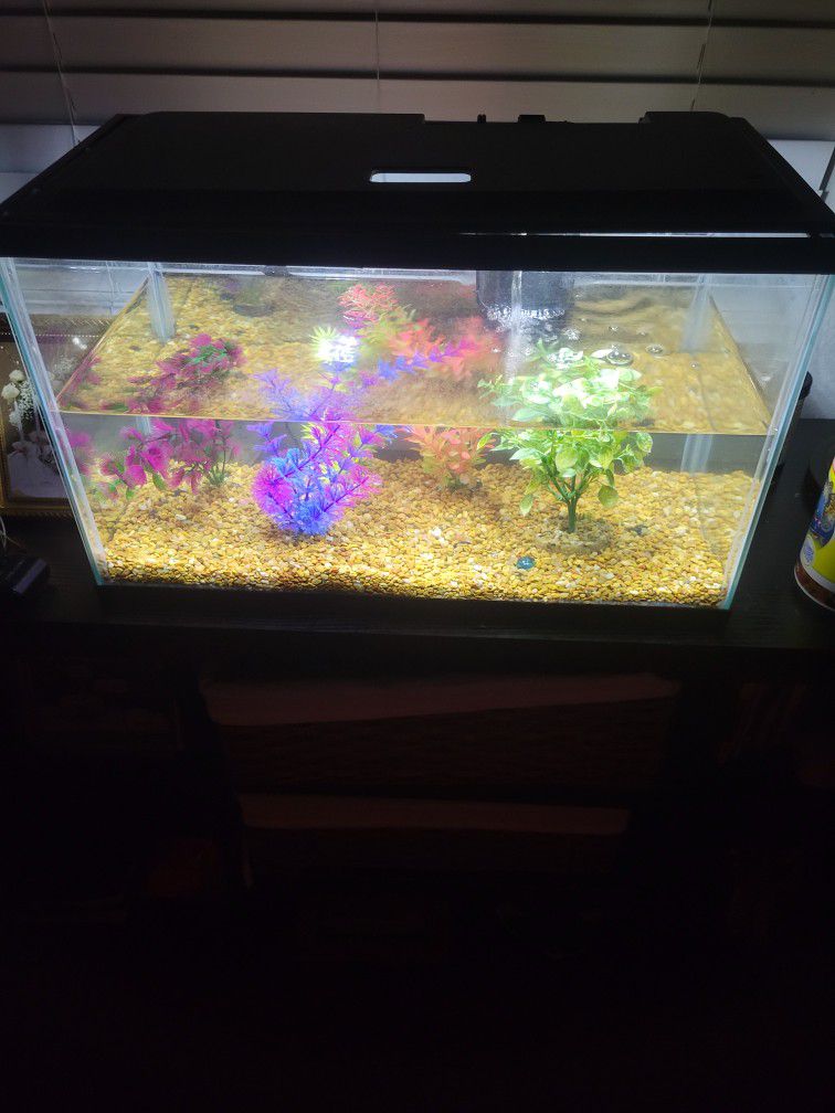 10 gallon fish tank, with everything you see in the photos and I have more accessories saved for her