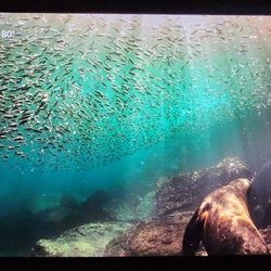 Samsung 55" 4K Crystal  UHD Smart LED 