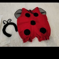Halloween Ladybug Costume 