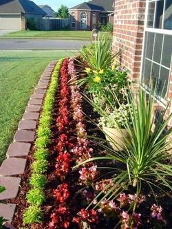 New System Esprinklers and Sod