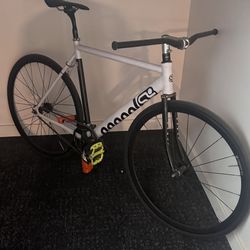 Custom Fixie  700c