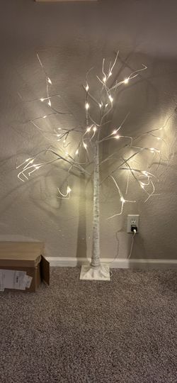 White birch tree with lights