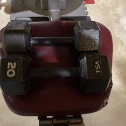 20lb Hex Steel Pair