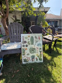 Succulent Plants Frame