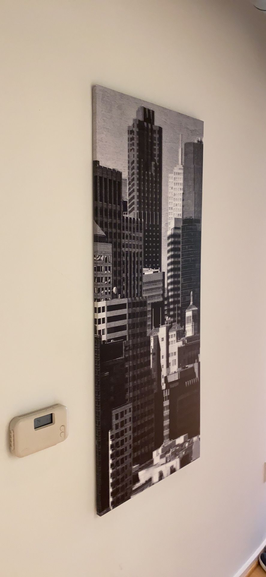 22” x 56” city scape black / white / gray canvas photo