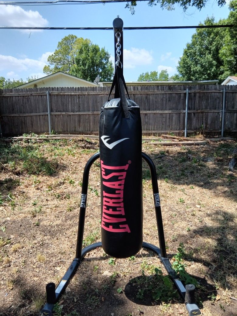 Everlast Punching Bag And Stand