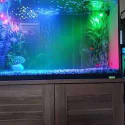 39 Gallon Fish Aquarium With Filter And Cabinet