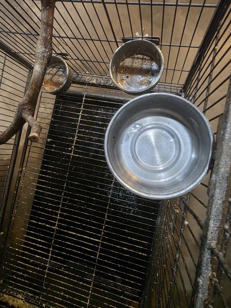 Cage Excellent Condition 
