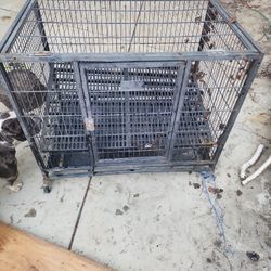 Dog Kennel 40$ 