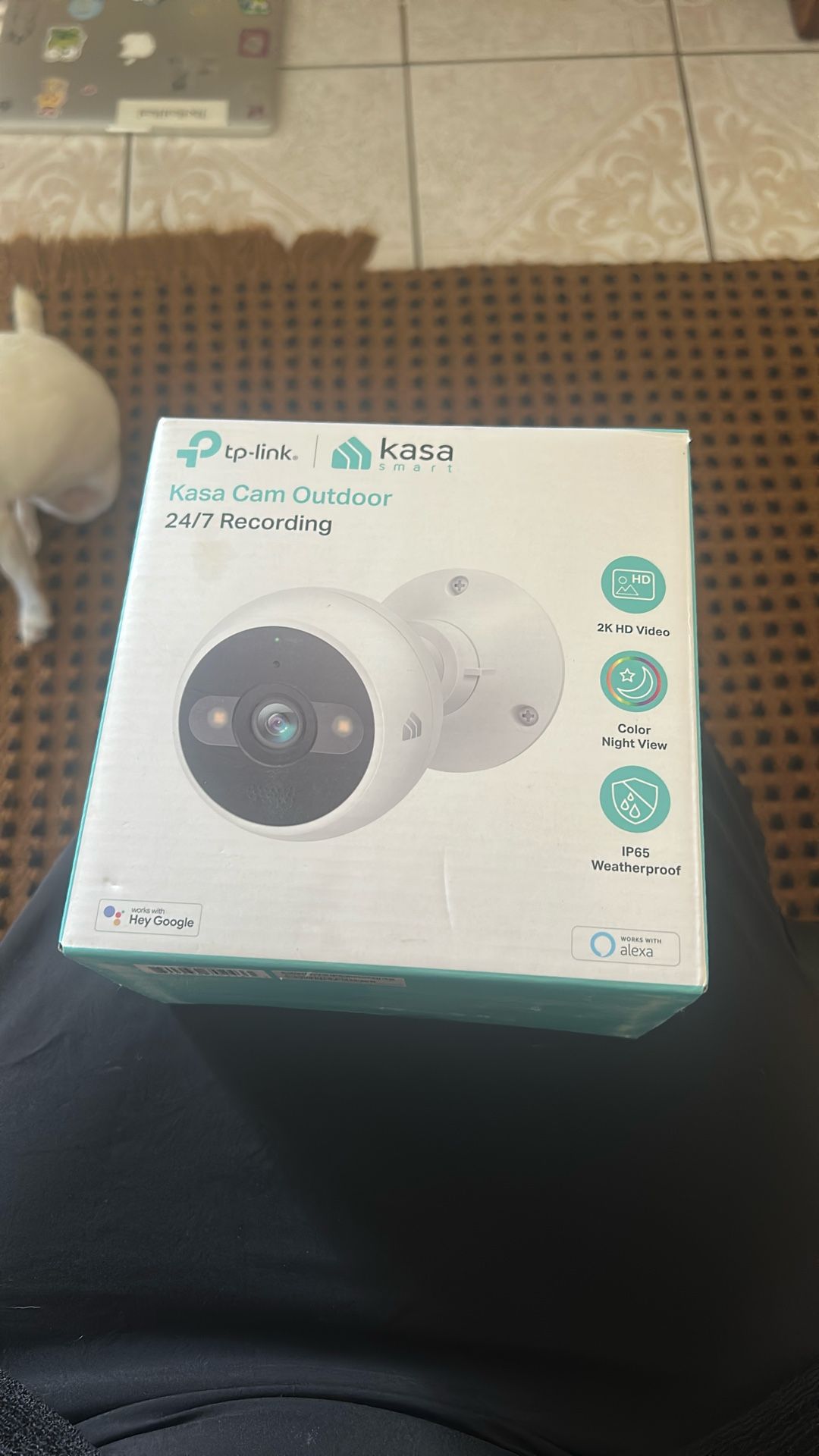 TP-Link KC420WS Kasa Cam Outdoor 4MP Wi-Fi Security Camera with Night Vision & Spotlights