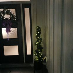 Indoor / Outdoor Prelit Topriary