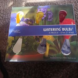 Watering bulbs six pack indoor or outdoor plants