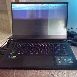 MSI GS66 Stealth - 3060 - busted screen