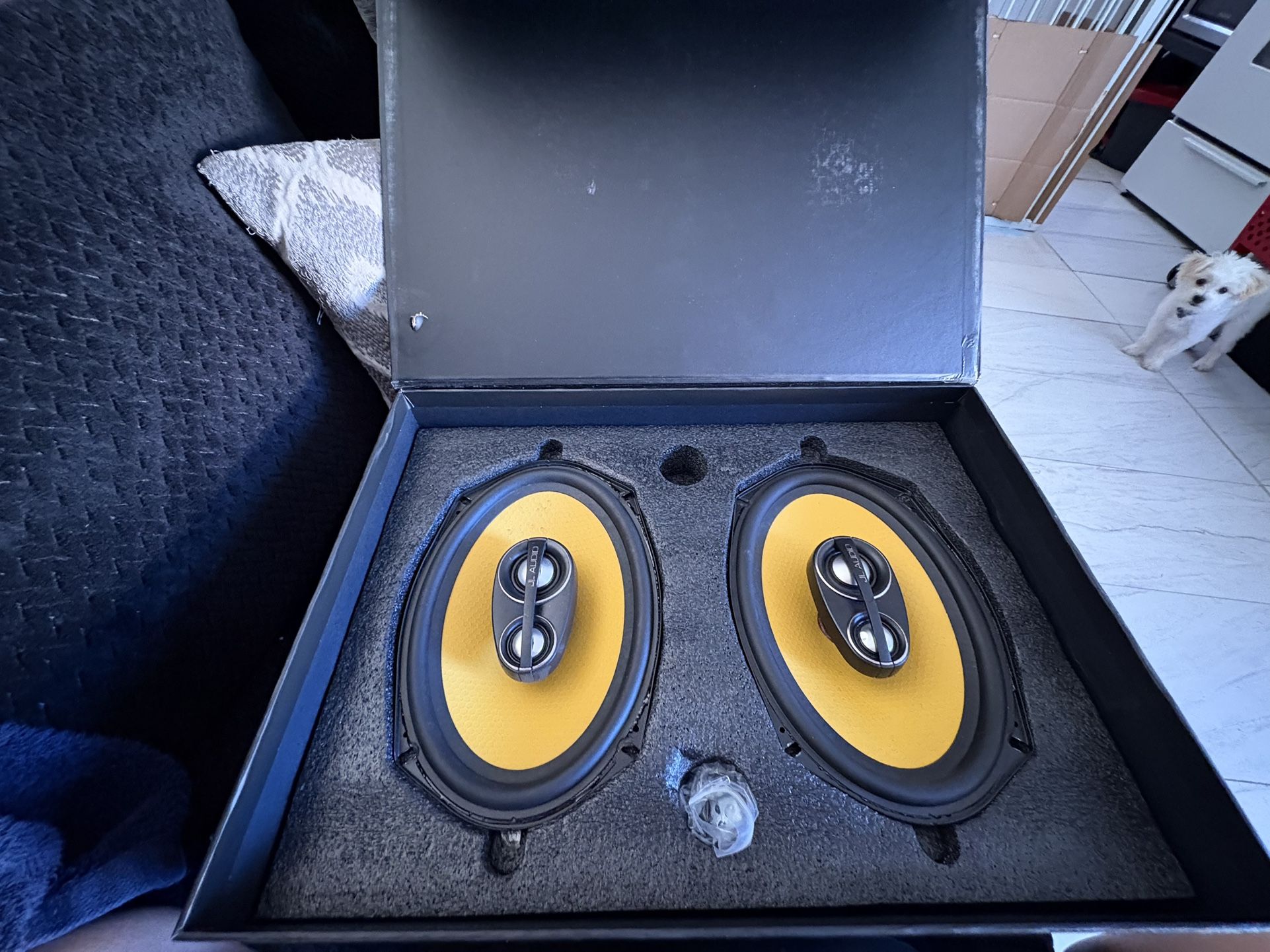 JL Audio Speakers