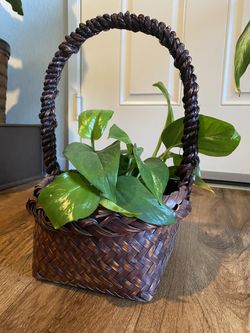Basket (plant not included)