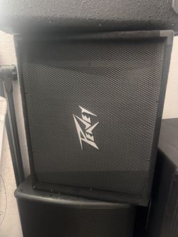 Peavey TLM 2x