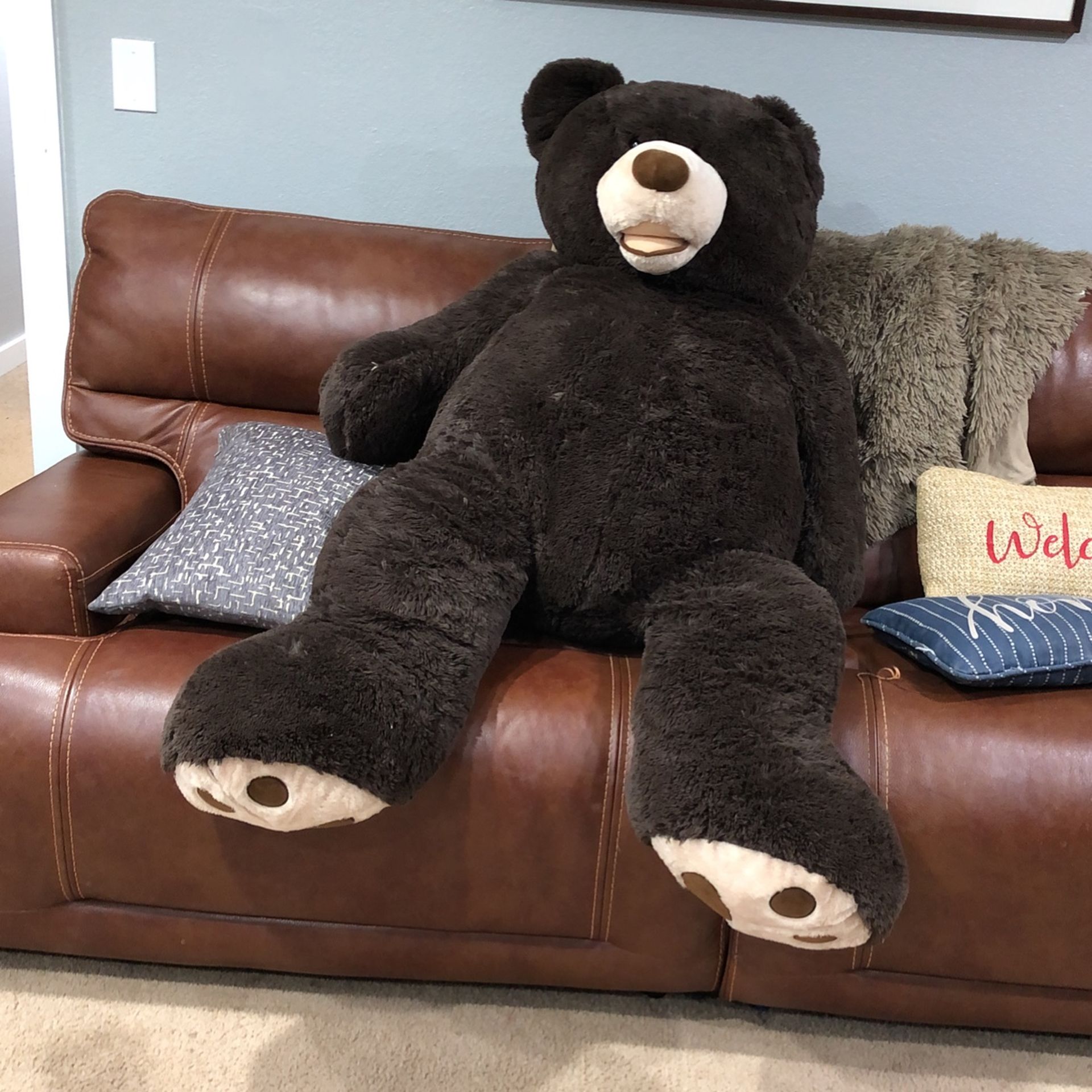 Big Teddy Bear