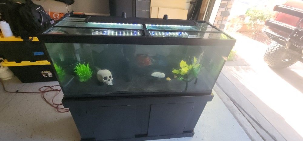 75 Gallon Aquarium With Stand And Fish And Fluval Fx-6