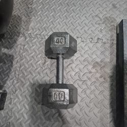 Single Dumbell $40 Obo