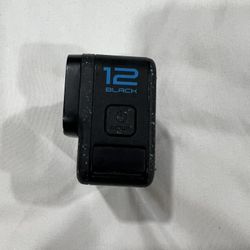Go Pro 12 Black