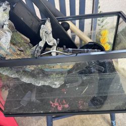 2 Fish Tanks 