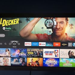 Sony 46 Inch TV