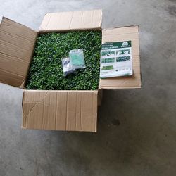 Artificial boxwood 