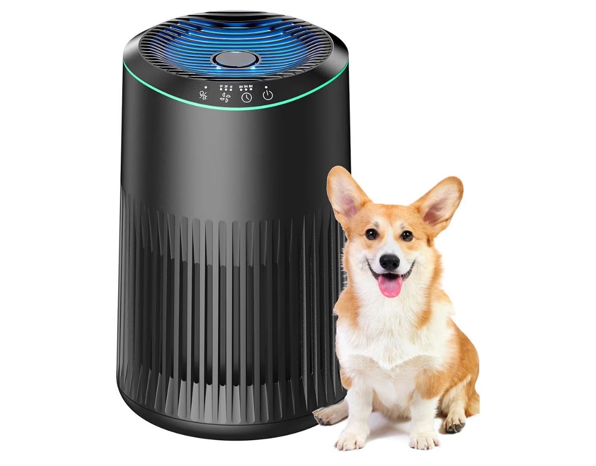 Brand: MERONTE Air Purifiers for Bedroom Home, Air Purifier for Smoke Odors with Fragrance Sponge, Small Air Purifier with Sleep Mode for Bedroom Offi