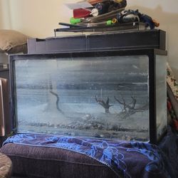 55 gallon Fish tank